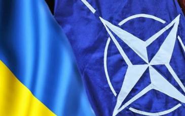 في أحدث استطلاع للرأي.. 63% من الأوكرانيين يؤيدون انضمام بلادهم إلى الناتو 
