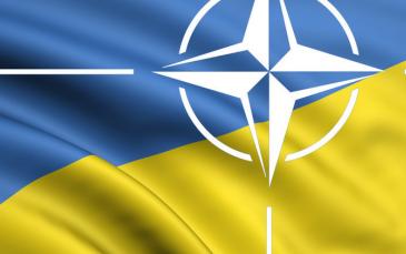  دول حلف الناتو بدأت تسليم أسلحة لأوكرانيا لمواجهة الانفصاليين الموالين لروسيا