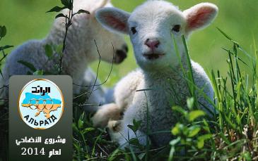 المراكز الاسلامية في أوكرانيا  تستعد لتنفيذ مشروع الأضاحي لعام 2014