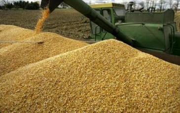 أوكرانيا صدرت 14 مليون طن من الحبوب منذ بداية الموسم الحالي