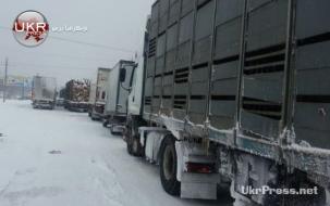 شلت حركة المركبات في كييف بسبب ثلوج العاصفة