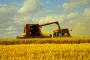 أوكرانيا تصدر 94 ألف طن من القمح إلى سوريا خلال 3 أشهر