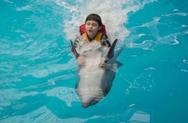 السباحة مع الدلافين.. طريقة مبتكرة للعلاج في أوكرانيا