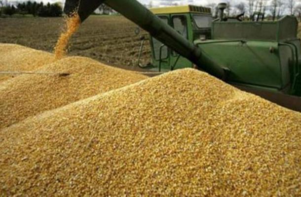 أوكرانيا صدرت 14 مليون طن من الحبوب منذ بداية الموسم الحالي