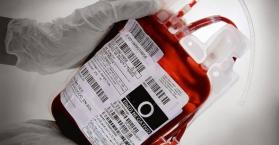 المستشفى العسكري يناشد سكان كييف التبرع بالدم للجنود المصابين شرق البلاد
