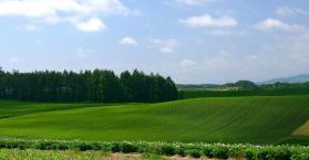 الصين تعتزم استئجار 5% من أراضي أوكرانيا لزراعتها