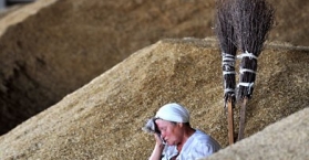 أوكرانيا تحذر من ارتفاع أسعار القمح بسبب البرد الذي أتلف ثلث محصولها