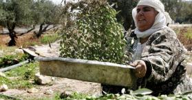 وزير الزراعة الفلسطيني يبدأ زيارة لتعزيز التعاون بين فلسطين وأوكرانيا