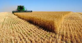 أوكرانيا تنافس الولايات المتحدة  في تصدير القمح إلى مصر