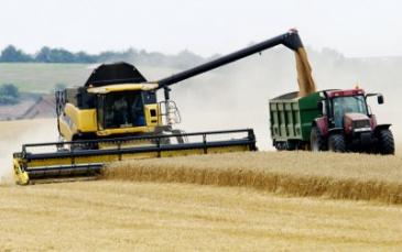 أوكرانيا تحظر تصدير القمح بدءا من منتصف شهر نوفمبر المقبل