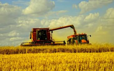 مذكرة تفاهم "عالقة" لتصدير 600 ألف طن من القمح الأوكراني إلى سوريا