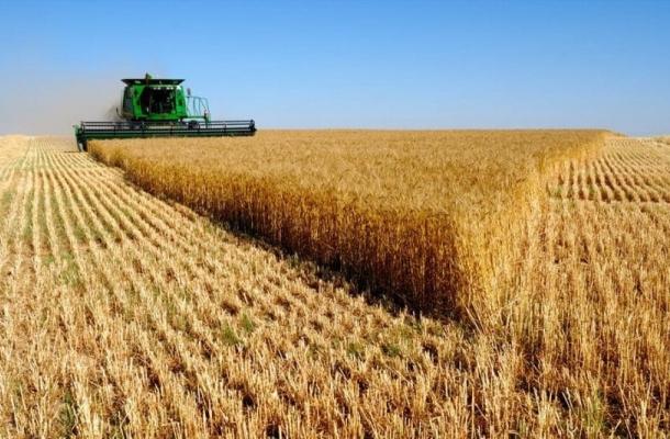 أوكرانيا تنافس الولايات المتحدة  في تصدير القمح إلى مصر